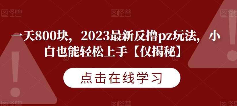 一天800块，2023最新反撸pz玩法，小白也能轻松上手【仅揭秘】-小柒笔记