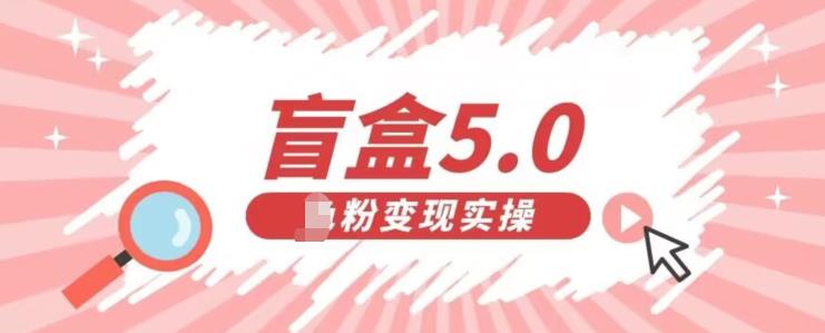 盲盒交友5.0，男粉变现实操项目，亲测变现效果极好【揭秘】-小柒笔记