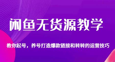 闲鱼无货源教学，教你起号，养号打造爆款链接以及转转的运营技巧-小柒笔记