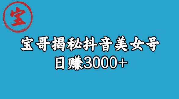 宝哥揭秘抖音美女号玩法，日赚3000+【揭秘】-小柒笔记