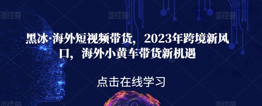 黑冰·海外短视频带货，2023年跨境新风口，海外小黄车带货新机遇-小柒笔记