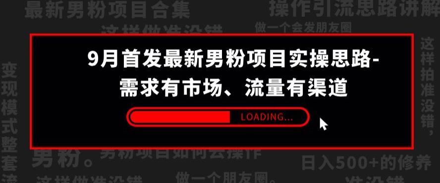 9月首发最新男粉项目实操思路-需求有市场，流量有渠道【揭秘】-小柒笔记