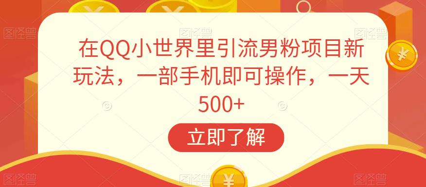 在QQ小世界里引流男粉项目新玩法，一部手机即可操作，一天500+【揭秘】-小柒笔记