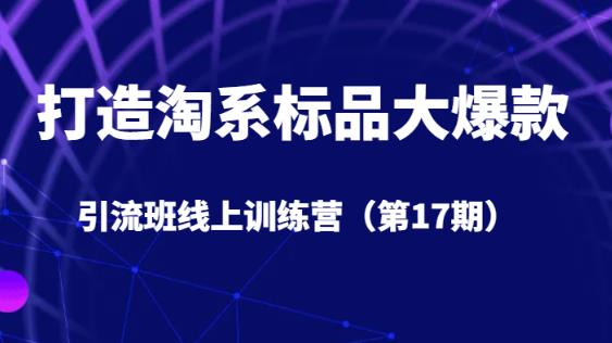 打造淘系标品大爆款引流班线上训练营（第17期）5天直播授课-小柒笔记