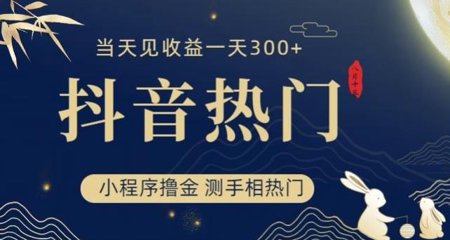 抖音最新小程序撸金，测手相上热门，当天见收益一小时变现300+【揭秘】-小柒笔记