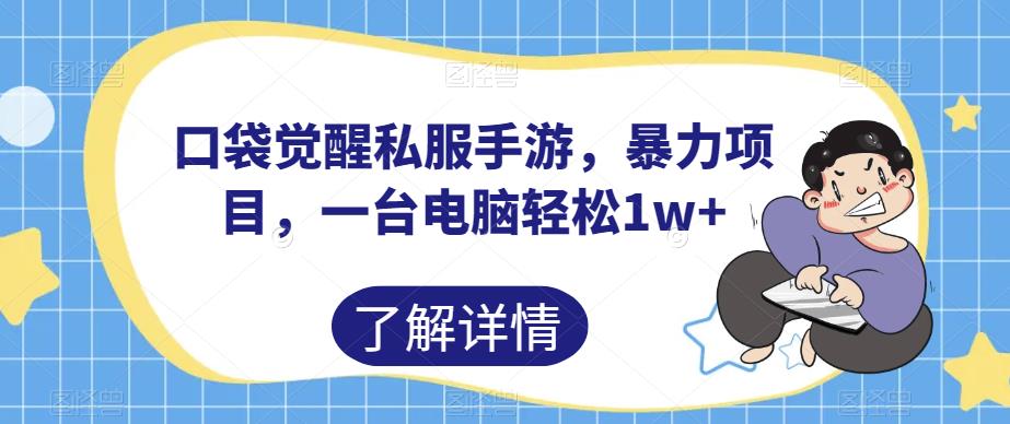 口袋觉醒私服手游，暴力项目，一台电脑轻松1w+【揭秘】-小柒笔记