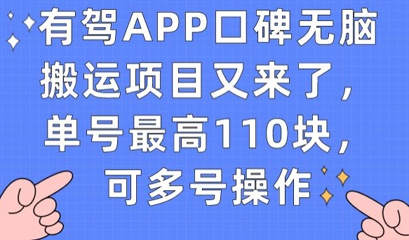 有驾APP口碑无脑搬运项目又来了，单号最高110块，可多号操作-小柒笔记