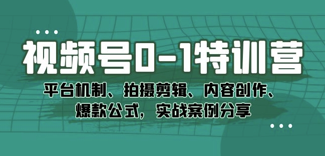 视频号0-1特训营：平台机制、拍摄剪辑、内容创作、爆款公式，实战案例分享-小柒笔记