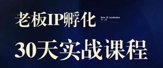 诸葛·2023老板IP实战课，实体同城引流获客，IP孵化必听-小柒笔记