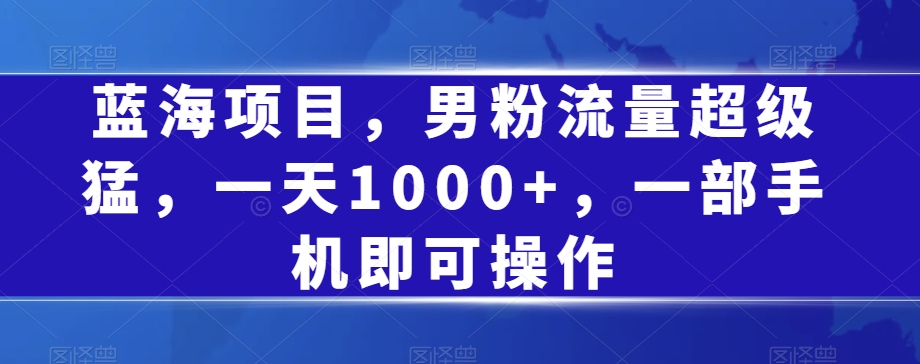 蓝海项目，男粉流量超级猛，一天1000+，一部手机即可操作【揭秘】-小柒笔记