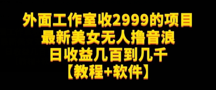 外面工作室收2999的项目最新美女无人撸音浪日收益几百到几千【教程+软件】（仅揭秘）-小柒笔记