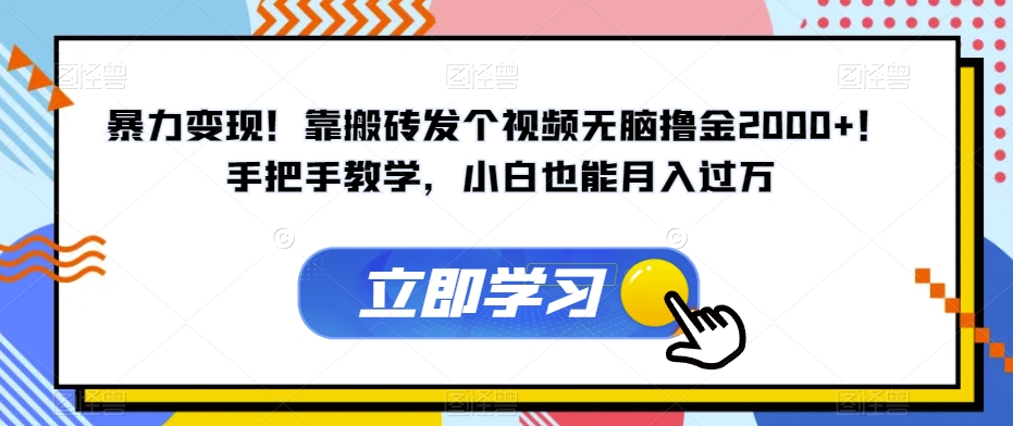 暴力变现！靠搬砖发个视频无脑撸金2000+！手把手教学，小白也能月入过万【揭秘】-小柒笔记