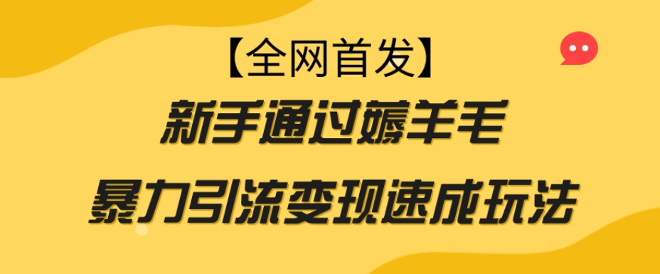 【全网首发】新手通过薅羊毛暴力引流变现速成玩法-小柒笔记