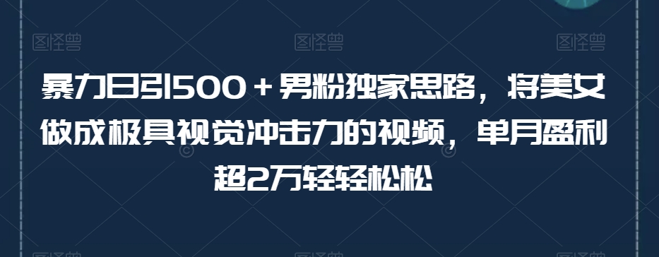 暴力日引500＋男粉独家思路，将美女做成极具视觉冲击力的视频，单月盈利超2万轻轻松松-小柒笔记