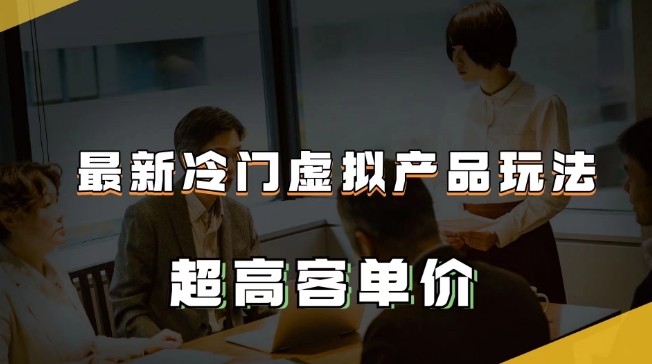 最新冷门虚拟产品玩法，超高客单价，月入2-3万＋【揭秘】-小柒笔记