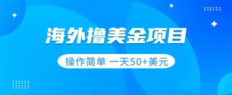 撸美金项目无门槛操作简单小白一天50+美刀-小柒笔记