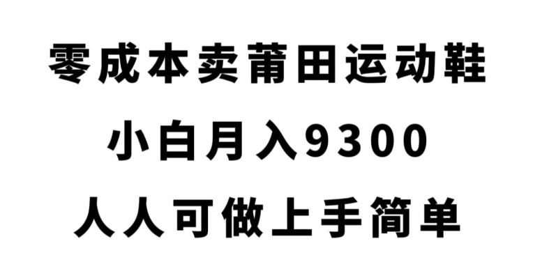 零成本卖莆田运动鞋，小白月入9300，人人可做上手简单【揭秘】-小柒笔记