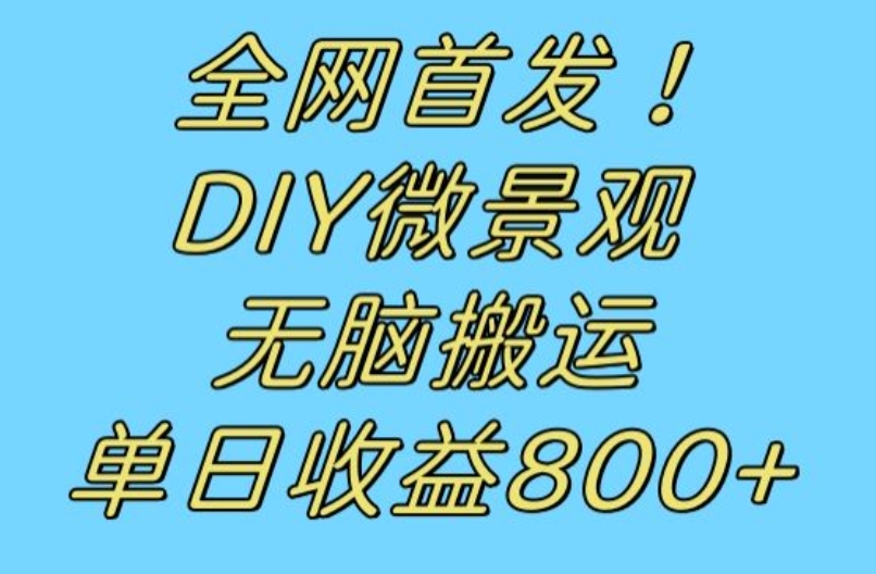 全网首发冷门赛道！DIY微景观，无脑搬运视频，日收益800+【揭秘】-小柒笔记