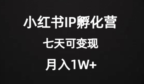 价值2000+的小红书IP孵化营项目，超级大蓝海，七天即可开始变现，稳定月入1W+-小柒笔记