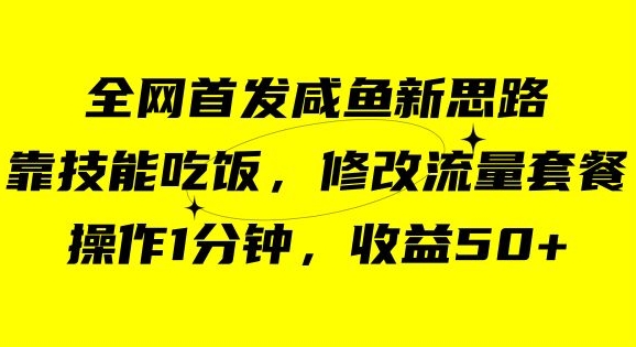 咸鱼冷门新玩法，靠“技能吃饭”，修改流量套餐，操作1分钟，收益50【揭秘】-小柒笔记