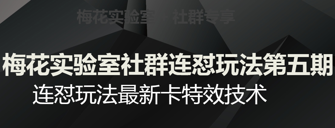 梅花实验室社群连怼玩法第五期，视频号连怼玩法最新卡特效技术-小柒笔记