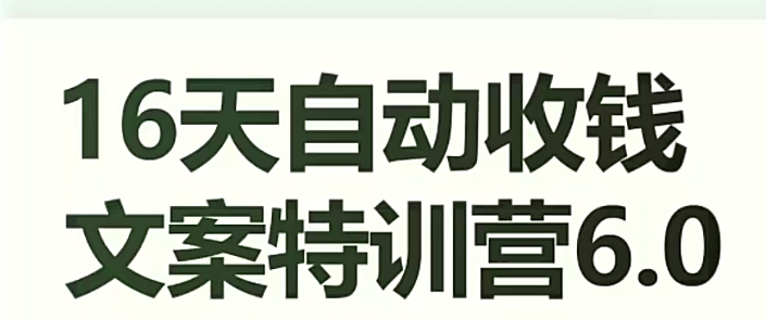 16天自动收钱文案特训营6.0，学会儿每天自动咔咔收钱-小柒笔记