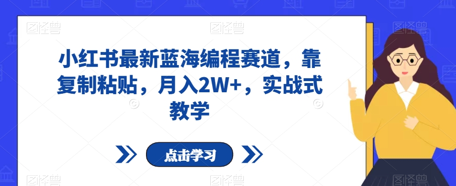 小红书最新蓝海编程赛道，靠复制粘贴，月入2W+，实战式教学【揭秘】-小柒笔记