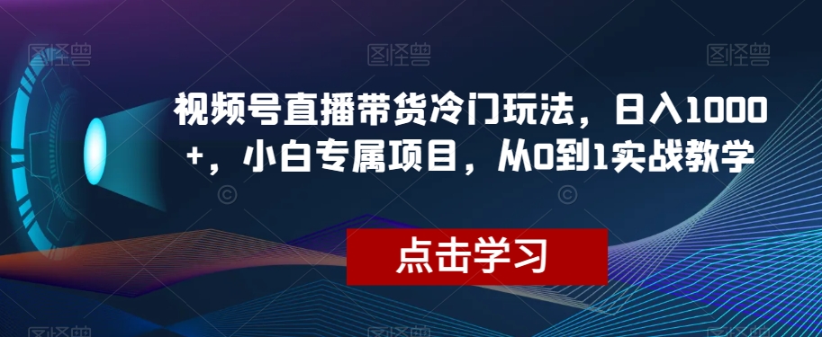 视频号直播带货冷门玩法，日入1000+，小白专属项目，从0到1实战教学【揭秘】-小柒笔记