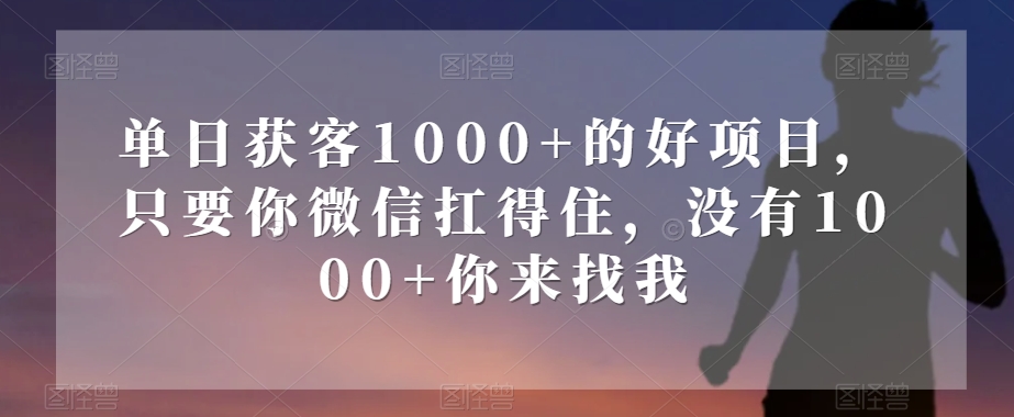 单日获客1000+的好项目，只要你微信扛得住，没有1000+你来找我【揭秘】-小柒笔记