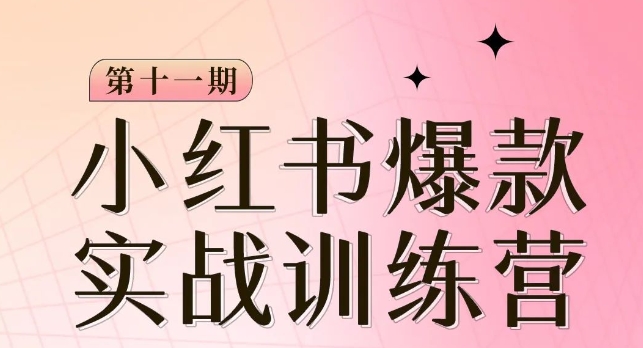 小红书博主爆款训练营第11期，手把手教你从0-1做小红书，从定位到起号到变现-小柒笔记