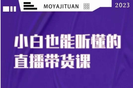 大威本威·能听懂的直播带货课，小白也能听懂，20节完整-小柒笔记