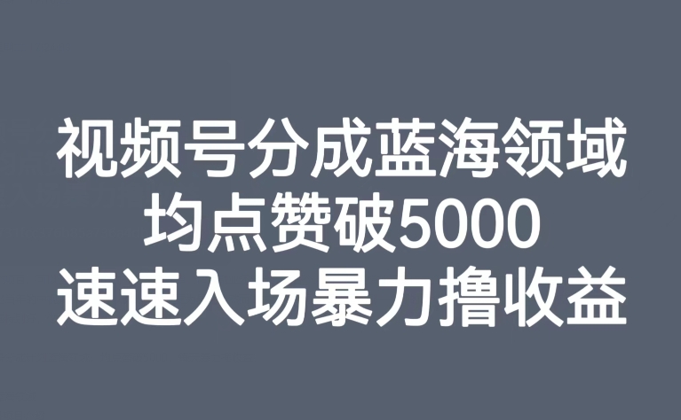 视频号分成蓝海领域，均点赞破5000，速速入场暴力撸收益-小柒笔记