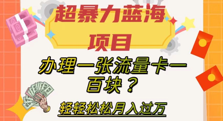 超暴力蓝海项目，办理一张流量卡一百块？轻轻松松月入过万，保姆级教程【揭秘】-小柒笔记