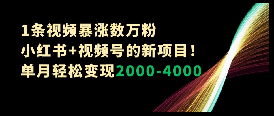 1条视频暴涨数万粉–小红书+视频号的新项目！单月轻松变现2000-4000【揭秘】-小柒笔记