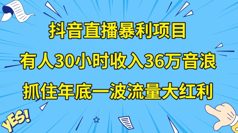 抖音直播暴利项目，有人30小时收入36万音浪，公司宣传片年会视频制作，抓住年底一波流量大红利【揭秘】-小柒笔记