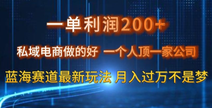 一单利润200私域电商做的好，一个人顶一家公司蓝海赛道最新玩法【揭秘】-小柒笔记