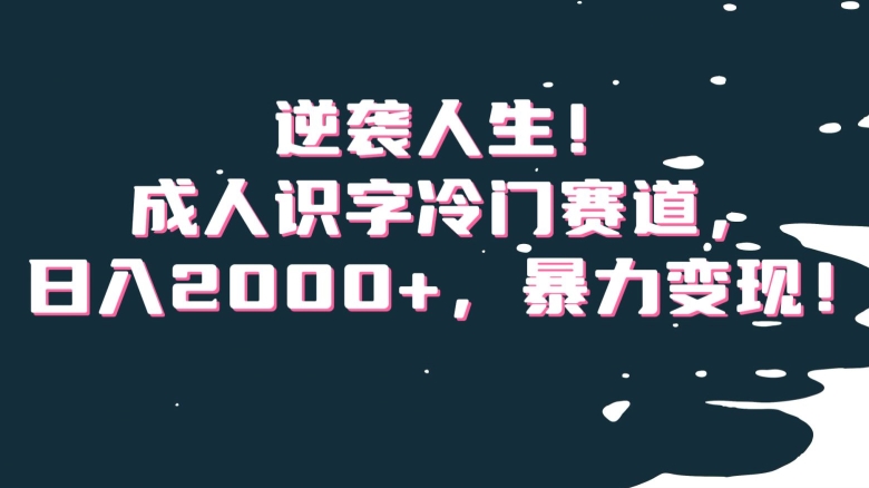 逆袭人生！成人识字冷门赛道，日入2000+，暴力变现！【揭秘】-小柒笔记