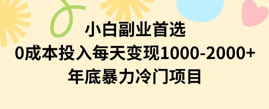 小白副业首选，0成本投入，每天变现1000-2000年底暴力冷门项目【揭秘】-小柒笔记