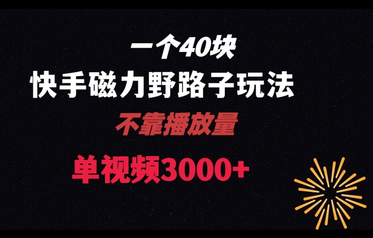 一个40块，快手联合美团磁力新玩法，无视机制野路子玩法，单视频收益4位数【揭秘】-小柒笔记