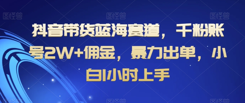 抖音带货蓝海赛道，千粉账号2W+佣金，暴力出单，小白1小时上手【揭秘】-小柒笔记