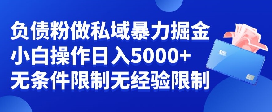 负债粉私域暴力掘金，小白操作入5000，无经验限制，无条件限制【揭秘】-小柒笔记