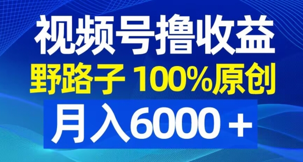 视频号野路子撸收益，100%原创，条条爆款，月入6000＋【揭秘】-小柒笔记