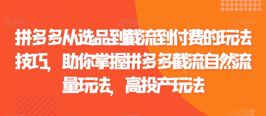 拼多多从选品到截流到付费的玩法技巧，助你掌握拼多多截流自然流量玩法，高投产玩法-小柒笔记