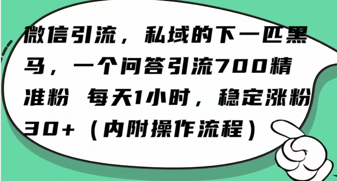 怎么搞精准创业粉？微信新赛道，每天一小时，利用Ai一个问答日引100精准粉-小柒笔记