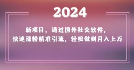 2024新项目，通过国外社交软件，快速涨粉精准引流，轻松做到月入上万【揭秘】-小柒笔记