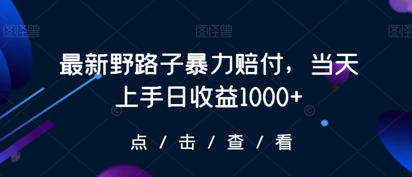 最新野路子暴力赔付，当天上手日收益1000+【仅揭秘】-小柒笔记