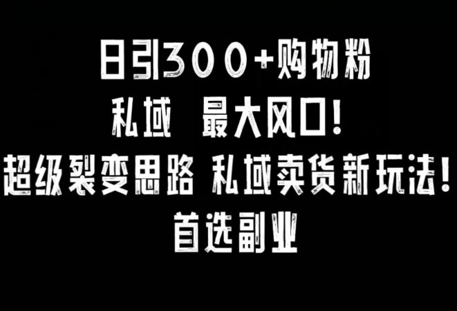 日引300+购物粉，超级裂变思路，私域卖货新玩法，小红书首选副业【揭秘】-小柒笔记