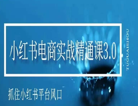 小红书电商实战精通课3.0，抓住小红书平台的风口，不错过有一个赚钱的机会-小柒笔记