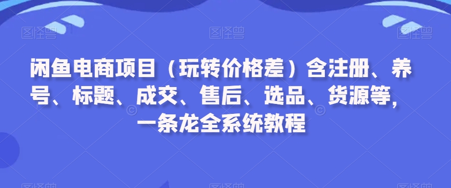 闲鱼电商项目（玩转价格差）含注册、养号、标题、成交、售后、选品、货源等，一条龙全系统教程-小柒笔记