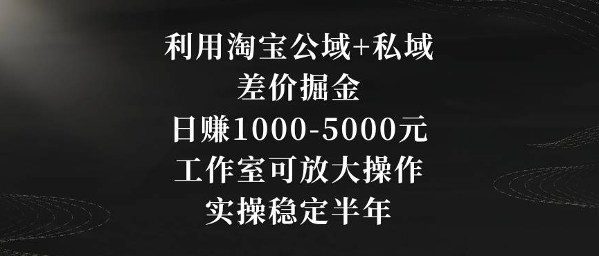 利用淘宝公域+私域差价掘金，日赚1000-5000元，工作室可放大操作，实操稳定半年【揭秘】-小柒笔记